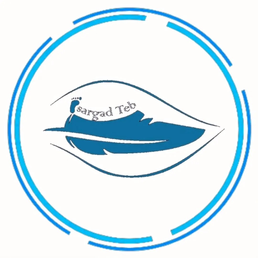 کفش طبی پاسارگاد