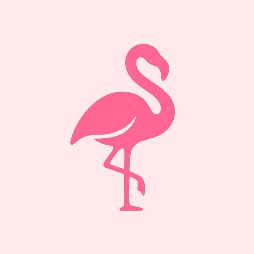 تضمین کیفیت و قیمت با تنوع بی نهایت 😉🦩