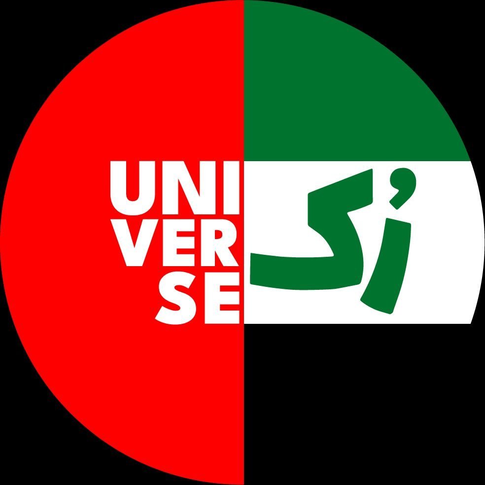 Rook universe