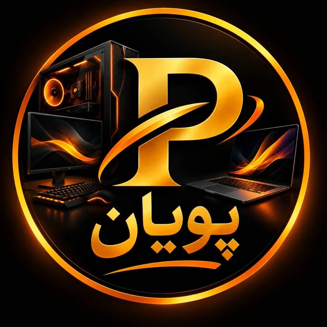 کامپیوتر پویان