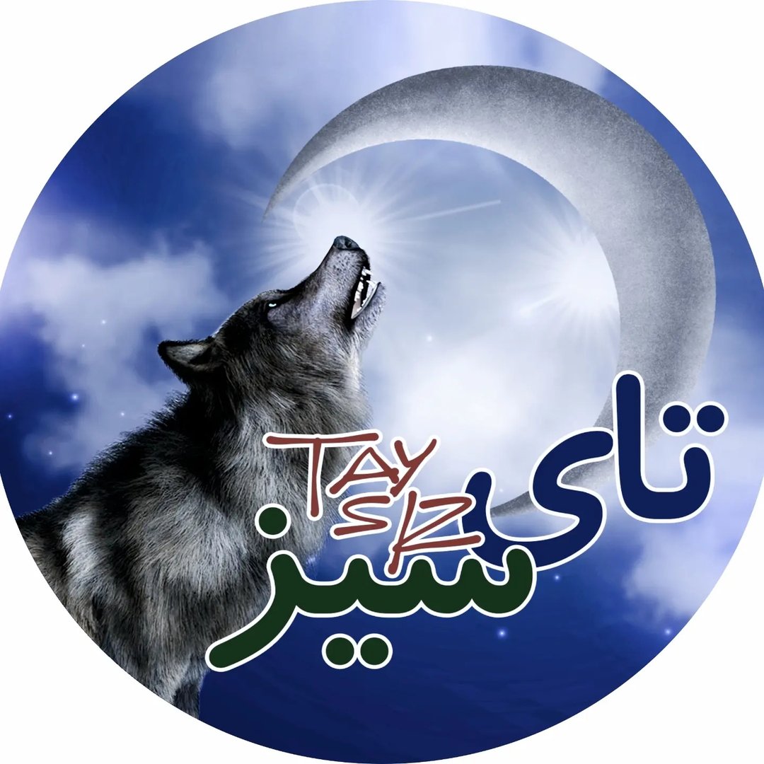 فروشگاه تای سیز