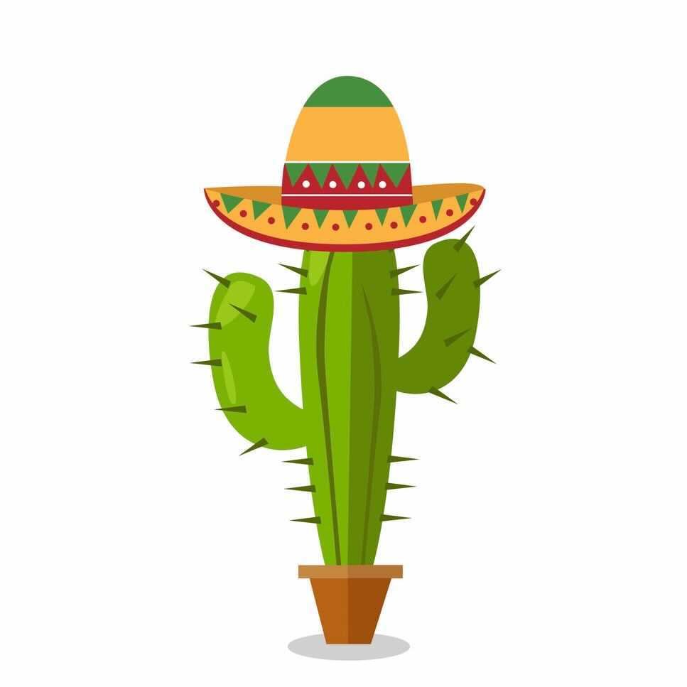 لوگوی 🌵کالکشن کاکتوس | cactuss collection