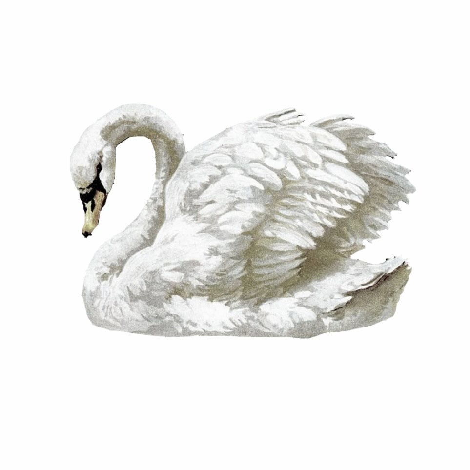 لوگوی Ema kids 🦢